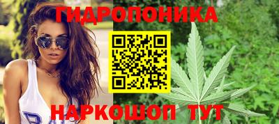 прущий лед Гусев