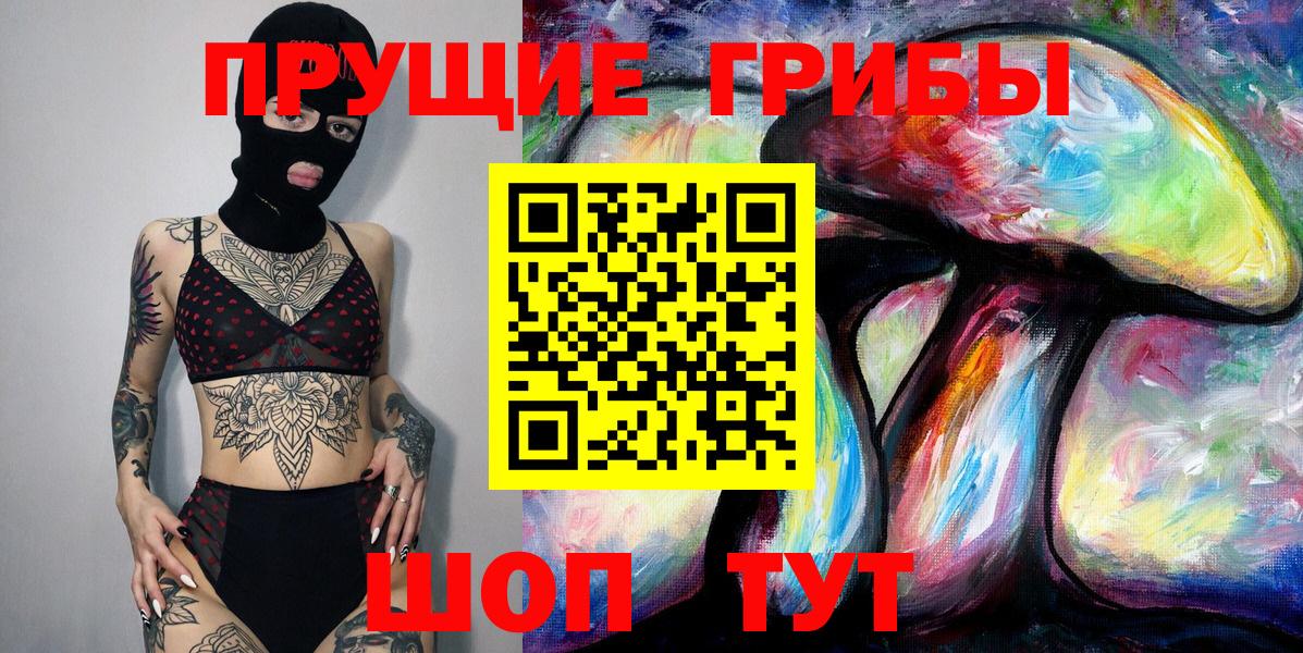 Псилоцибиновые грибы Cubensis Лосино-Петровский