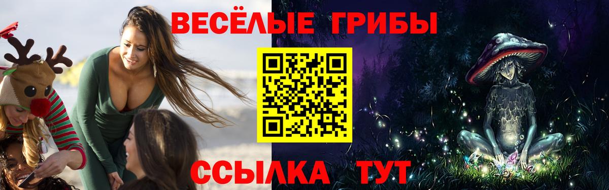 Псилоцибиновые грибы мухоморы  Вход с VPN  где купить наркоту  Галлюциногенные грибы мицелий  Лосино-Петровский 